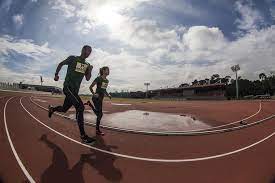 Além das Quatro Linhas: A Gloriosa Jornada dos Atletas Portugueses no Tênis e Atletismo
